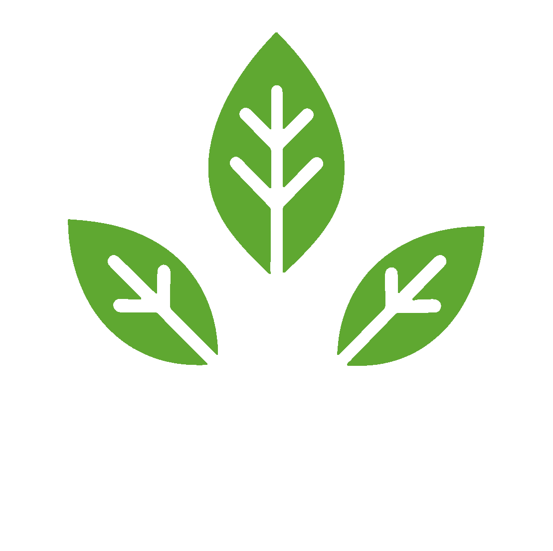 Basil.ai Logo